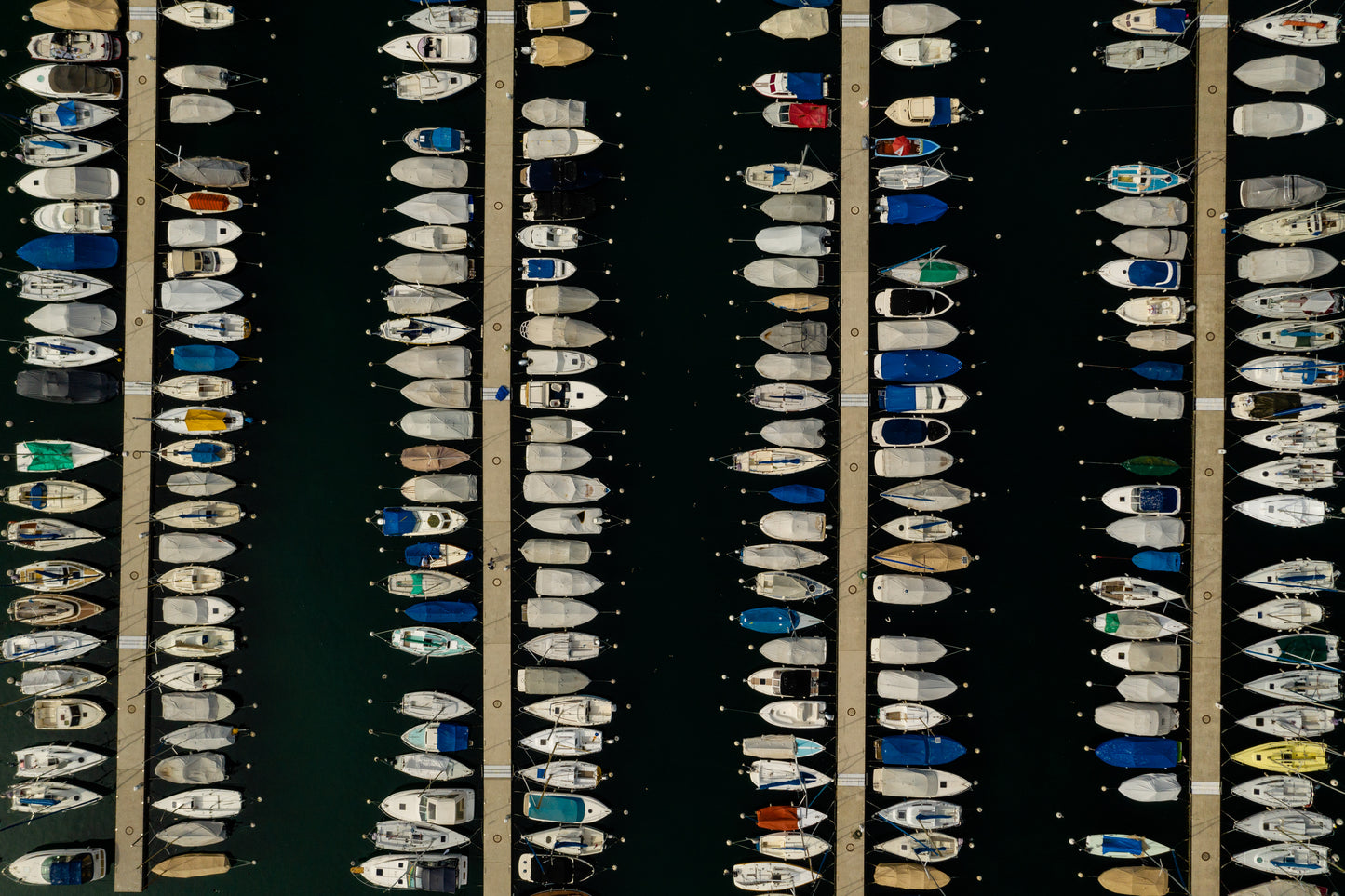 BOAT LINES