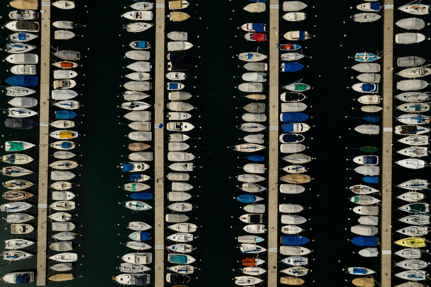 BOAT LINES
