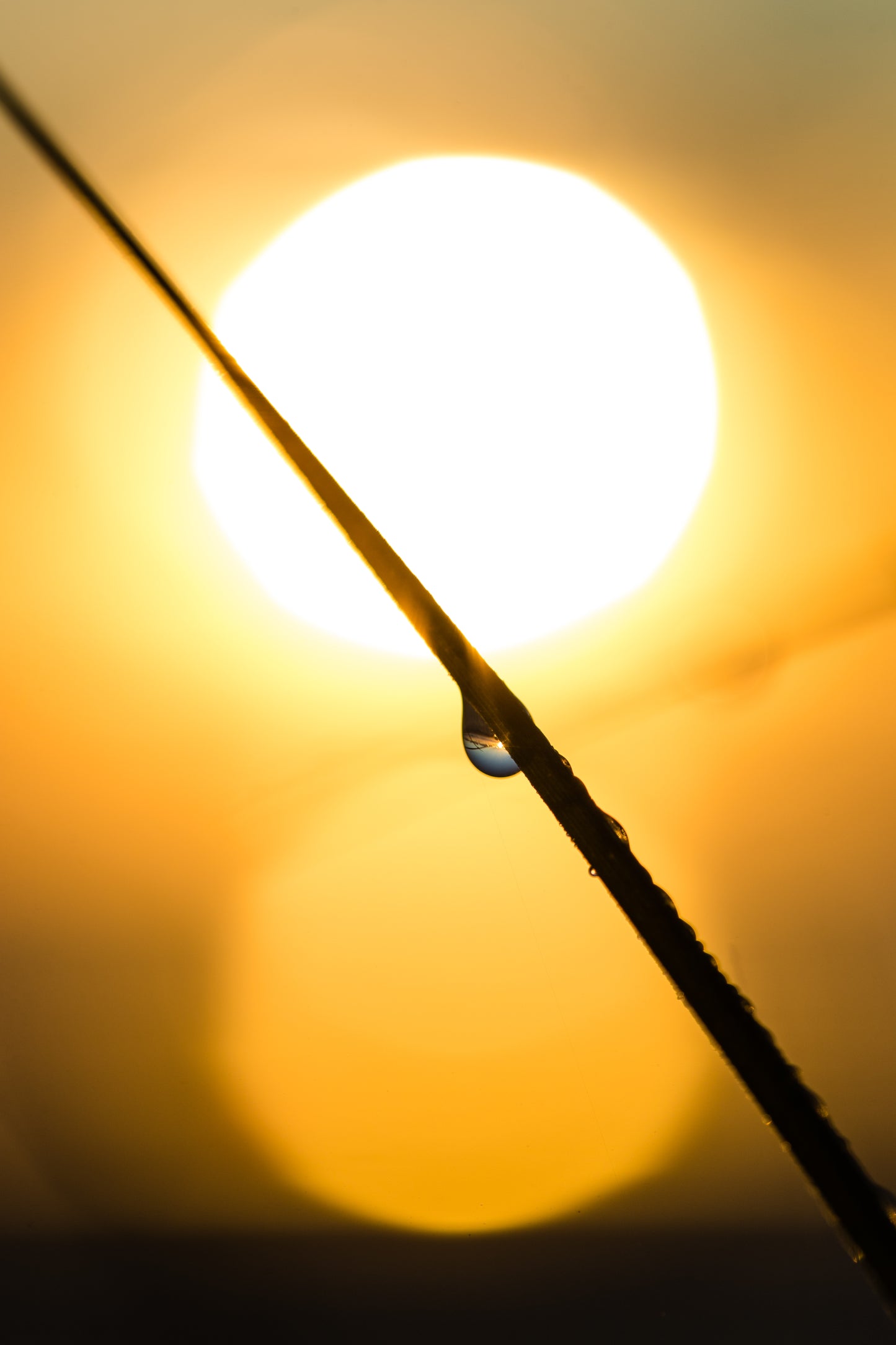 DROP