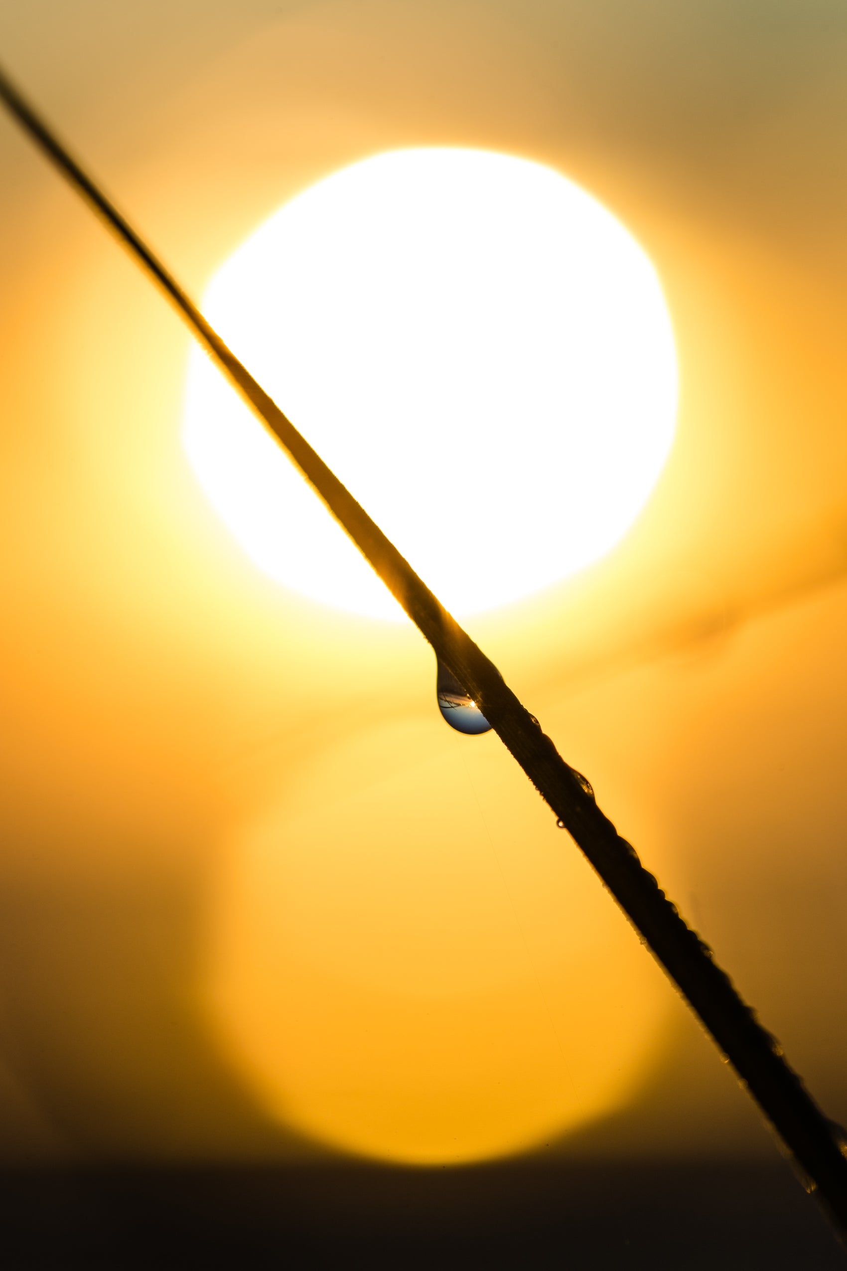 DROP