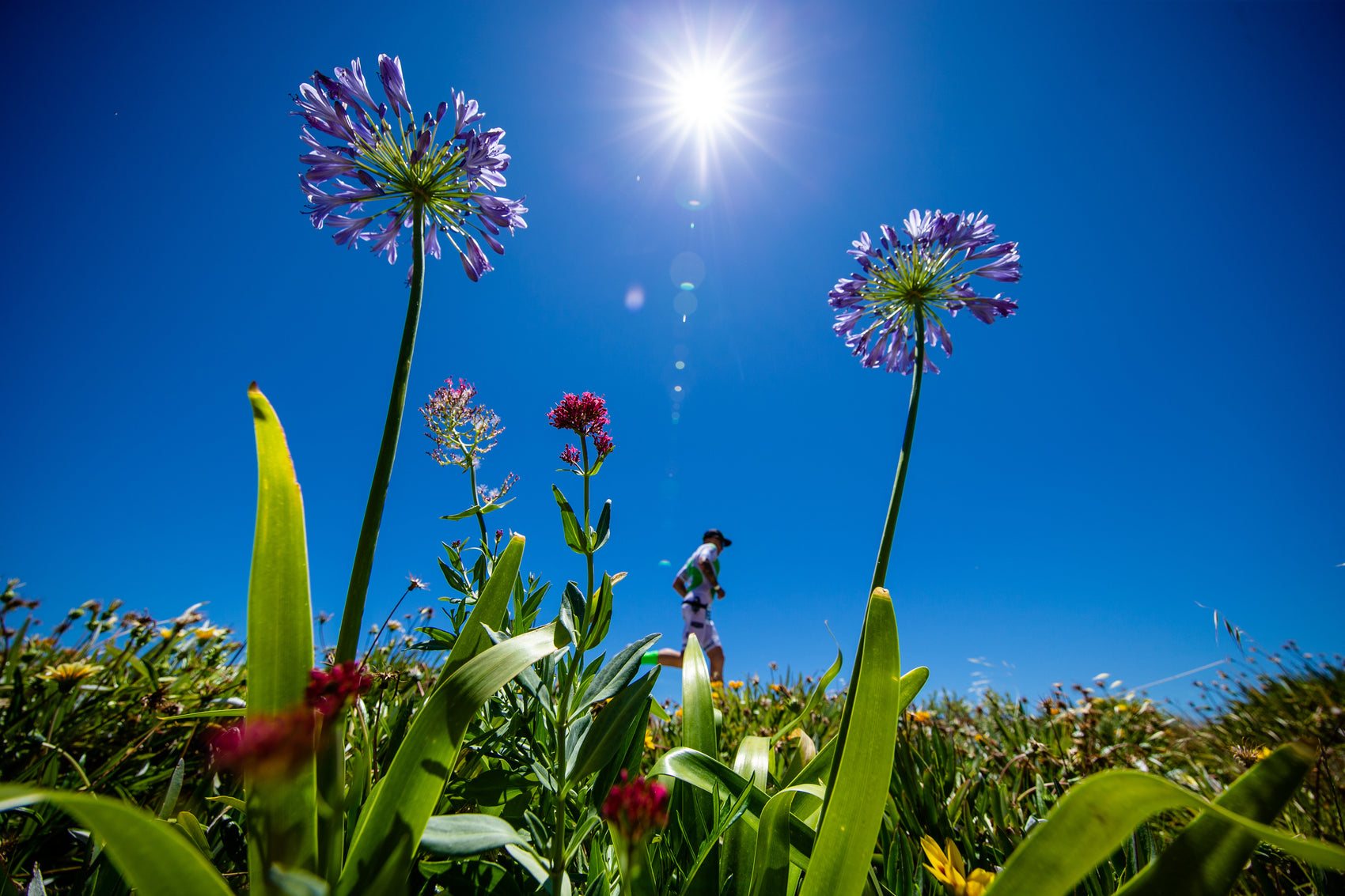FLOWER RUN